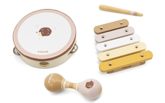 Set de instrumentos