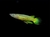 Aplocheillus panchax new golden wonder