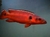 Atabapo Red