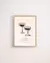 Siphon & Limoni Set x 6 en internet