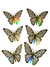 Mariposas decorativas doradas