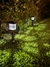 Faroles GardenGlow en internet