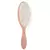 dae Cactus Vegan Detangle + Style Brush *Pre Order*