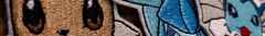 Banner de la categoría Eeveelutions