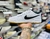 AIR FORCE CU