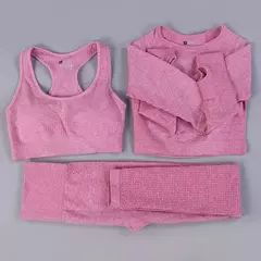 Conjunto sem costura feminino para ioga, roupa esportiva com manga longa na internet