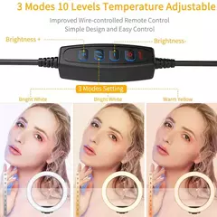Ring Light LED regulável para selfies com tripé, luz quente e fria - loja online