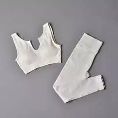 Conjunto de esporte sem costura feminino 2 de duas peças - comprar online