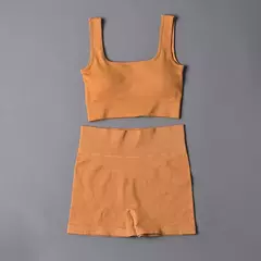 Conjunto de esporte sem costura feminino 2 de duas peças - comprar online