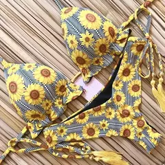 Conjunto de biquíni push up, traje de banho sexy na internet