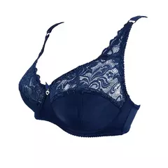 Sutiã fino de renda, tamanho grande, plus size - Smartshopstores Boutique