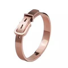 Luxo Roman Royal Classic pulseira de aço inoxidável, pulseiras titânio, masculino na internet