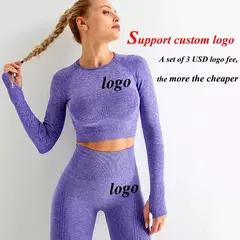 Conjunto sem costura feminino para ioga, roupa esportiva com manga longa - Smartshopstores Boutique