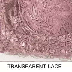 Sutiã de Renda Ajustável, Plus Size, B, C, D, Tamanho Grande na internet