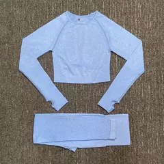 Conjunto sem costura feminino para ioga, roupa esportiva com manga longa
