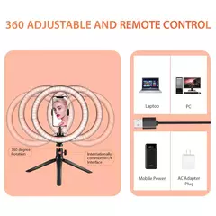 Ring Light LED regulável para selfies com tripé, luz quente e fria - comprar online