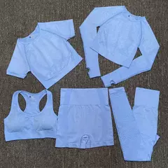 Conjunto sem costura feminino para ioga, roupa esportiva com manga longa - comprar online