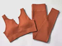 Conjunto de esporte sem costura feminino 2 de duas peças na internet