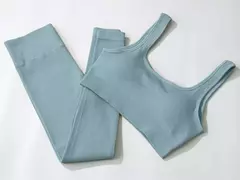 Conjunto de esporte sem costura feminino 2 de duas peças - comprar online