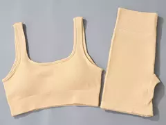 Conjunto de esporte sem costura feminino 2 de duas peças - comprar online