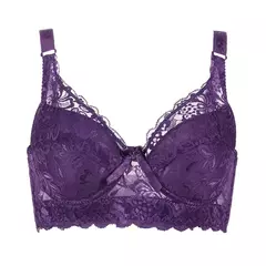 Sutiã de Renda Ajustável, Plus Size, B, C, D, Tamanho Grande na internet