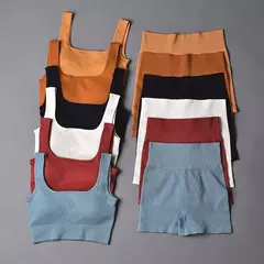 Conjunto de esporte sem costura feminino 2 de duas peças - comprar online