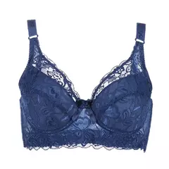 Sutiã de Renda Ajustável, Plus Size, B, C, D, Tamanho Grande - Smartshopstores Boutique
