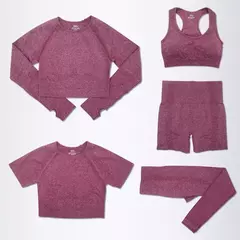 2/3/5 pçs sem costura feminino conjunto de yoga treino roupas esportivas na internet