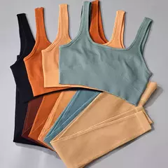 Conjunto de esporte sem costura feminino 2 de duas peças - comprar online