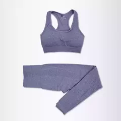 2/3/5 pçs sem costura feminino conjunto de yoga treino roupas esportivas na internet