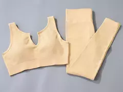 Conjunto de esporte sem costura feminino 2 de duas peças na internet