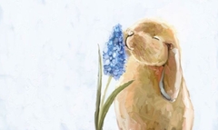 Banner de la categoría CUADERNOS