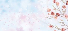 Banner de la categoría SACAPUNTAS 