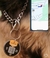 PETSAFE - IDENTIFICADOR PARA PET - GSHIELD na internet