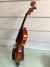violino intermediário na internet