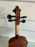 violino intermediário