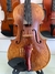 Violin Of Dragon na internet