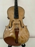 Viola profissional tamanho 40 - loja online