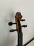 Viola categoria Júnior na internet