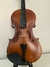 Viola categoria Júnior - Trovatore