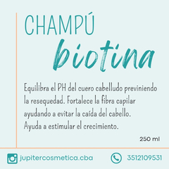 Anti Caída en internet