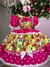 Vestido Junino Mimadine Luxo Roberta na internet
