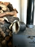 Mate camionero de calabaza - comprar online