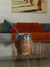 Combo Falkner con bombilla - Lengasmates