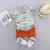 Conjunto de verão para Menino de 0-4 anos - loja online