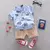 Conjunto de verão para Menino de 0-4 anos - comprar online