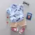 Conjunto de verão para Menino de 0-4 anos - comprar online