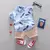 Conjunto de verão para Menino de 0-4 anos - Loja Little Dear
