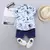 Conjunto de verão para Menino de 0-4 anos