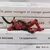 Deadpool Marvel Boneco Decoração - loja online
